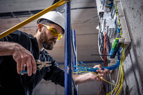 Best Affordable Electrical Installation  in Wacousta, MI