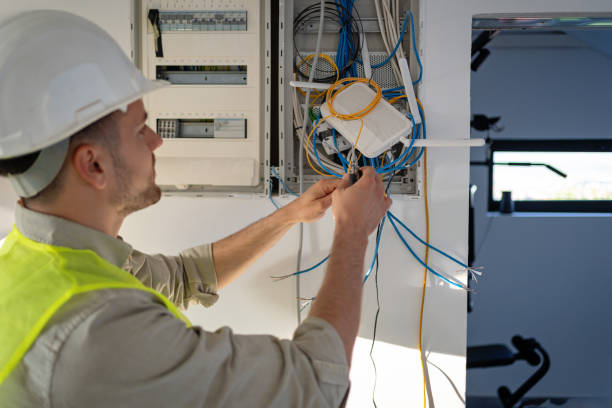 Best Affordable Electrical Installation  in Wacousta, MI