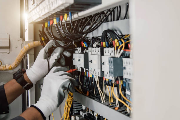 Best Electrical System Inspection  in Wacousta, MI